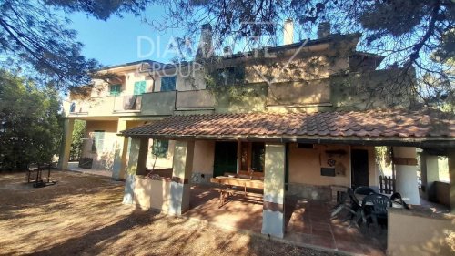 Azienda agricola a Cinigiano