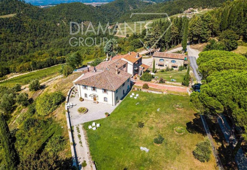 Explotación agrícola en Rufina