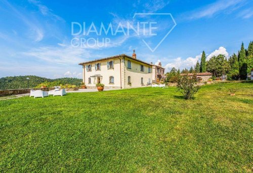 Explotación agrícola en Rufina