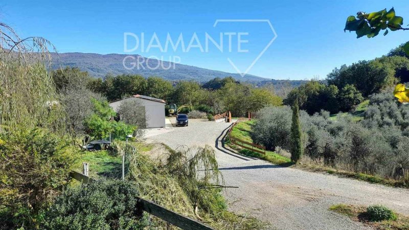 阿雷佐农业公司