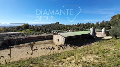 Boerenbedrijf in Castelfranco Piandiscò