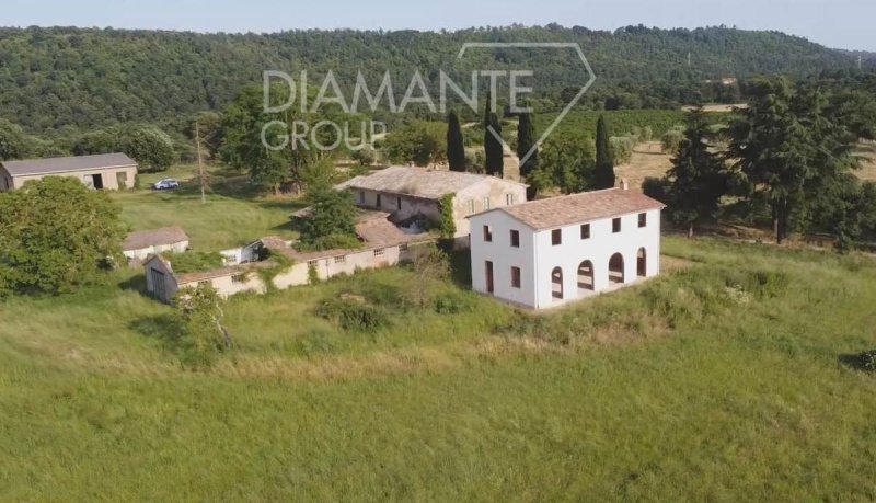 Farm in Acquapendente