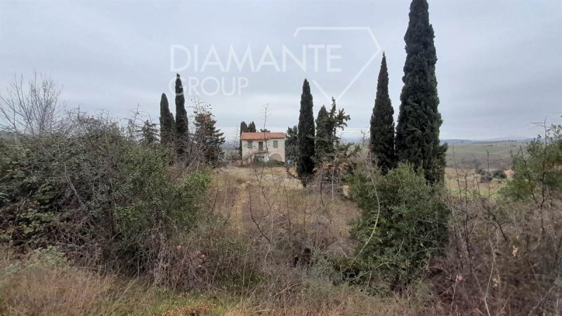 Landwirtschaftlicher Betrieb in Scansano