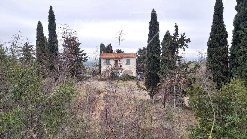 Farm for sale in Scansano [810544] | Gate-away®
