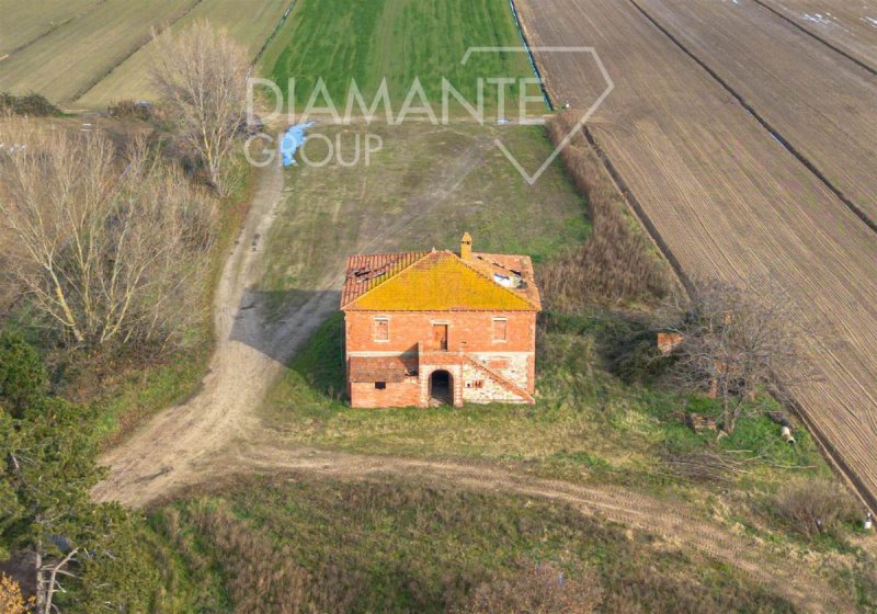 Lantställe i Castiglione del Lago