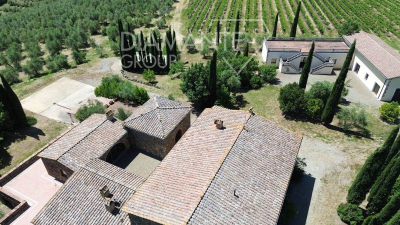 Boerenbedrijf in Montalcino
