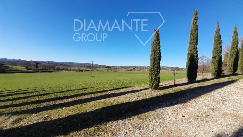Plattelandtoerisme in Foiano della Chiana