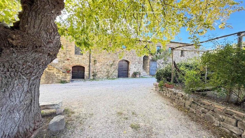 Lantgård i Montalcino