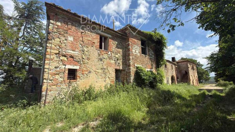 Explotación agrícola en Asciano