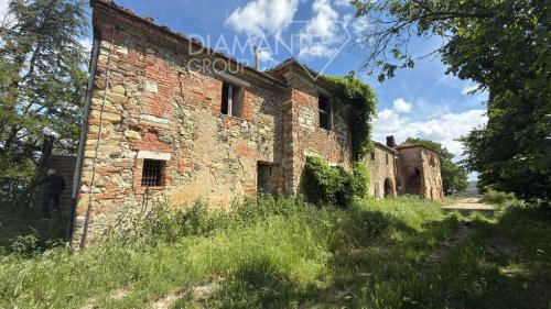 Explotación agrícola en Asciano