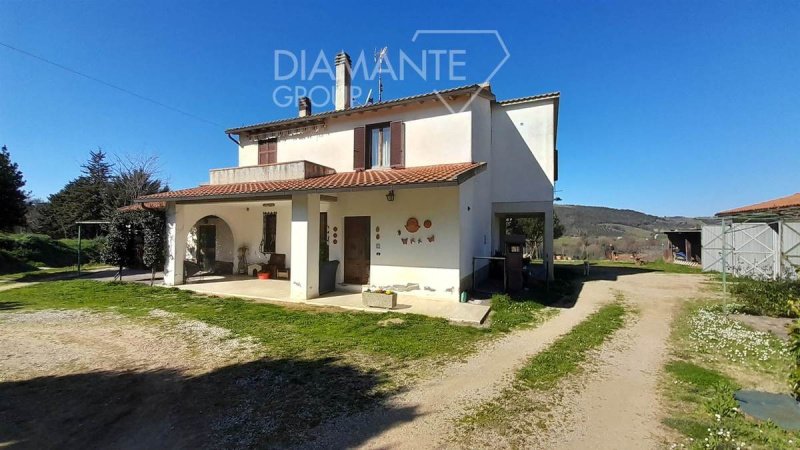 Boerenbedrijf in Cinigiano