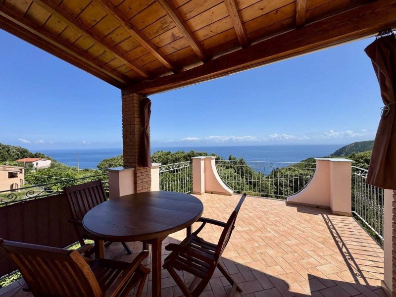 Крыша/земля в Марчиана