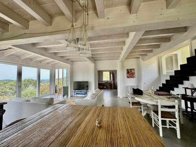 费拉约港休闲农业