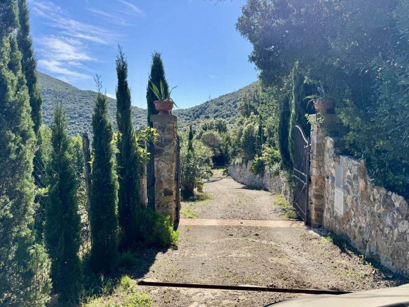 Особняк в Rio