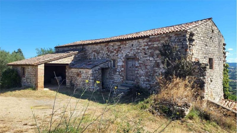 Azienda agricola a Todi