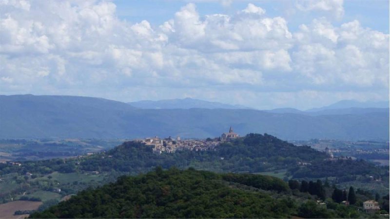 Azienda agricola a Todi