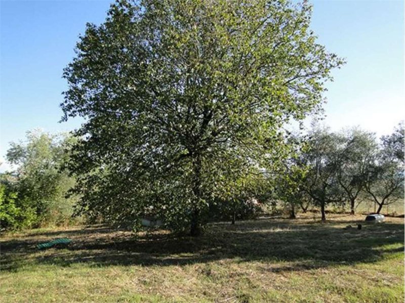 Casa indipendente a Todi