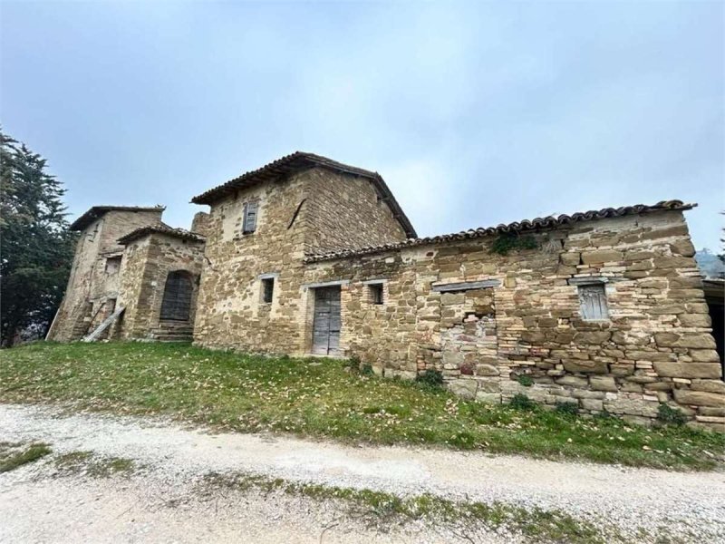 Azienda agricola a Assisi