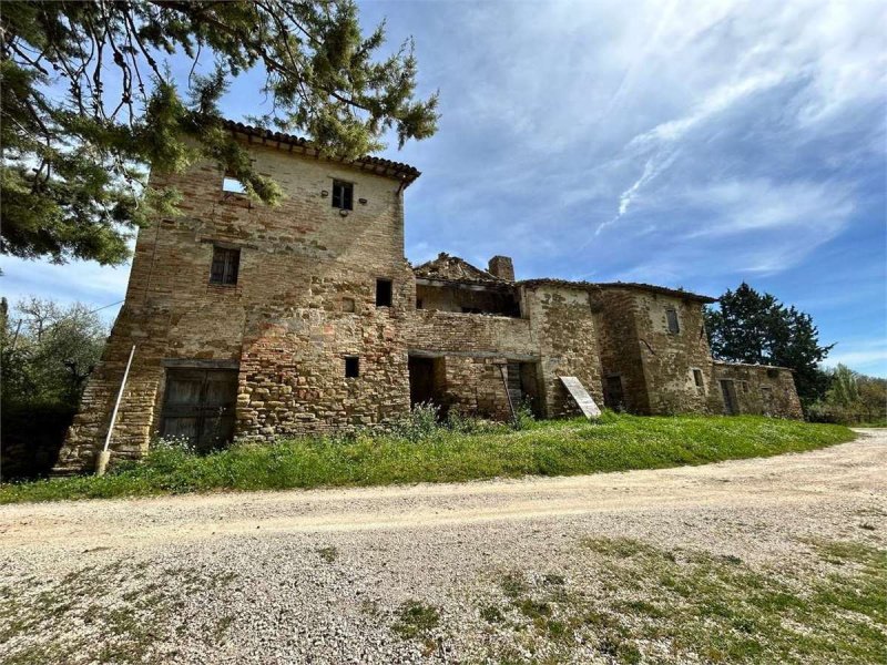 Boerenbedrijf in Assisi