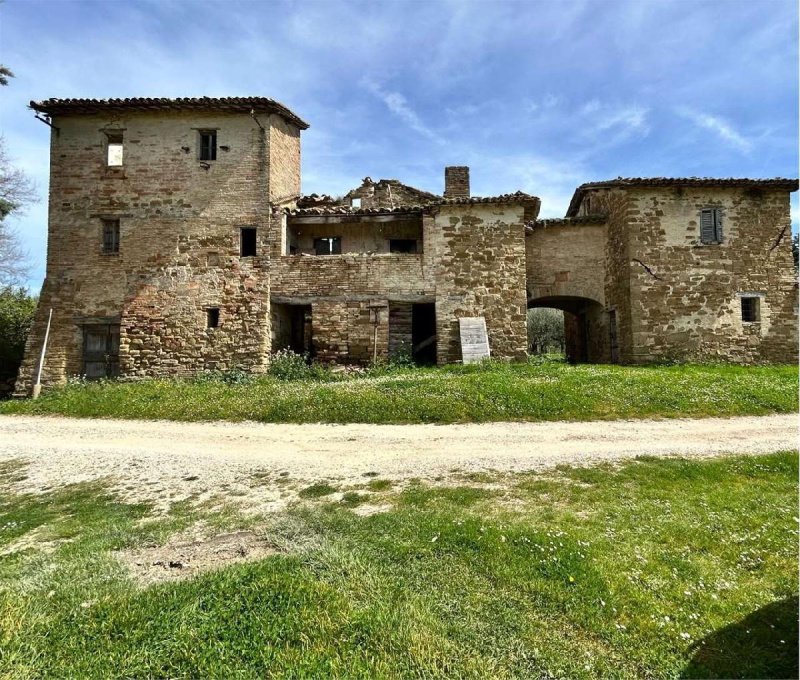 Farm in Assisi