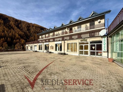 Коммерческая недвижимость в Арджентера