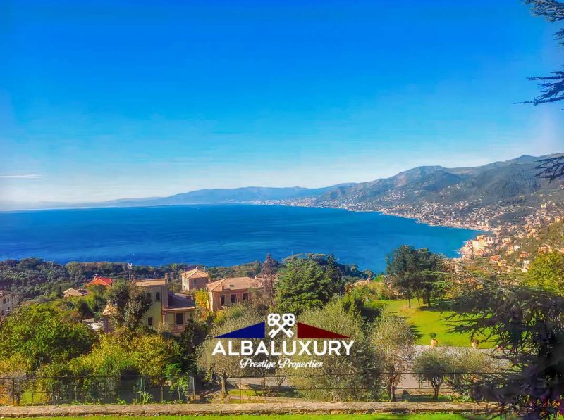 Вилла в Камольи