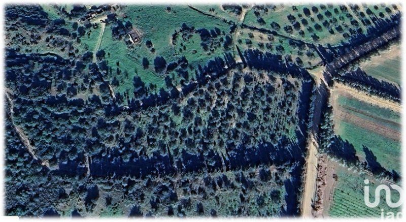 Terreno agricolo a Castiadas