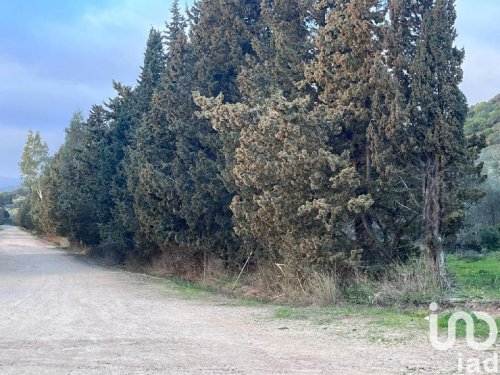 Landwirtschaftliche Fläche in Castiadas