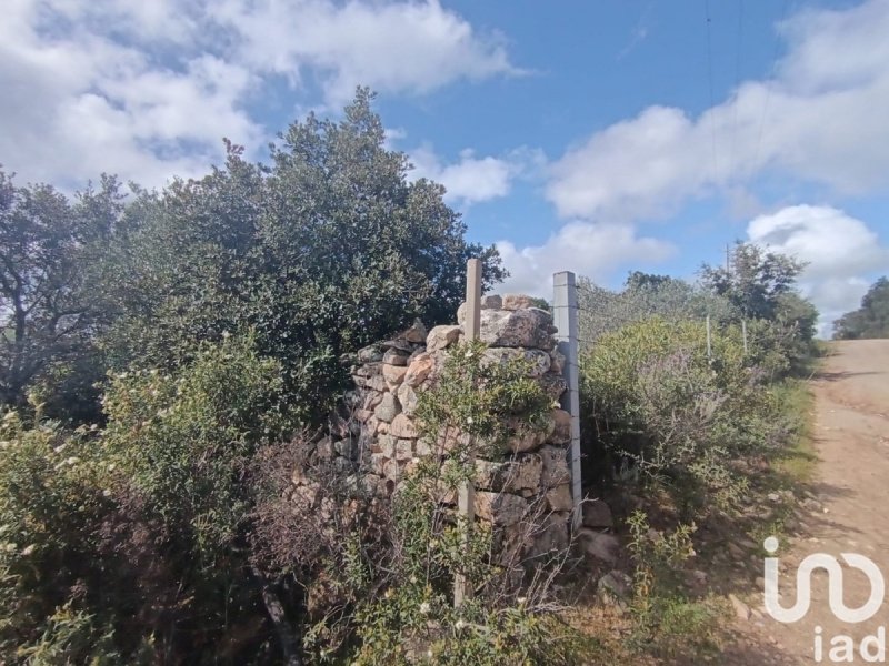 Terreno agrícola en Olbia