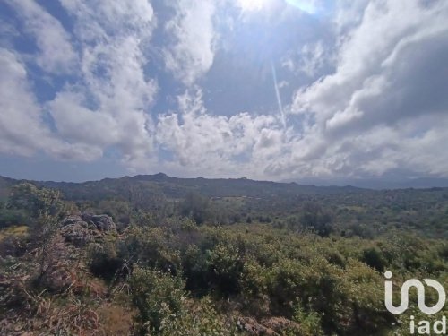 Terreno agrícola em Olbia