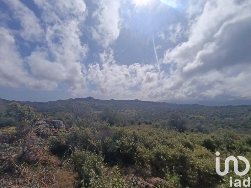 Terreno agricolo a Olbia