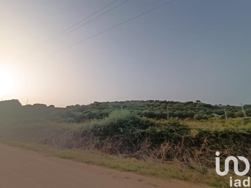 Terreno agricolo a Olbia