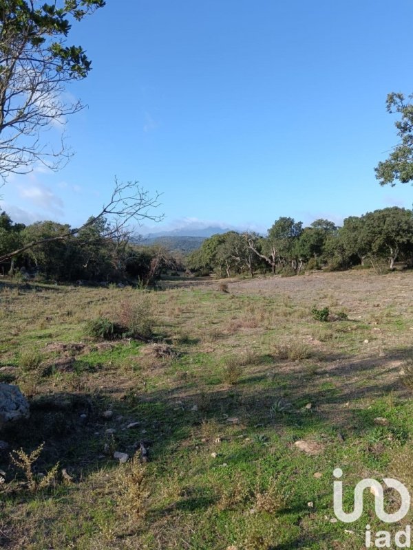Terreno agricolo a Telti