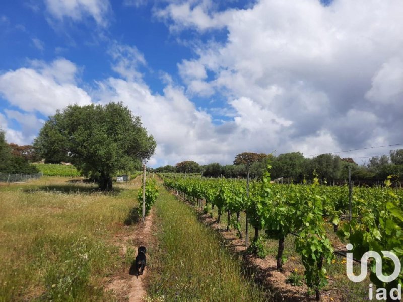Terreno agrícola en Telti