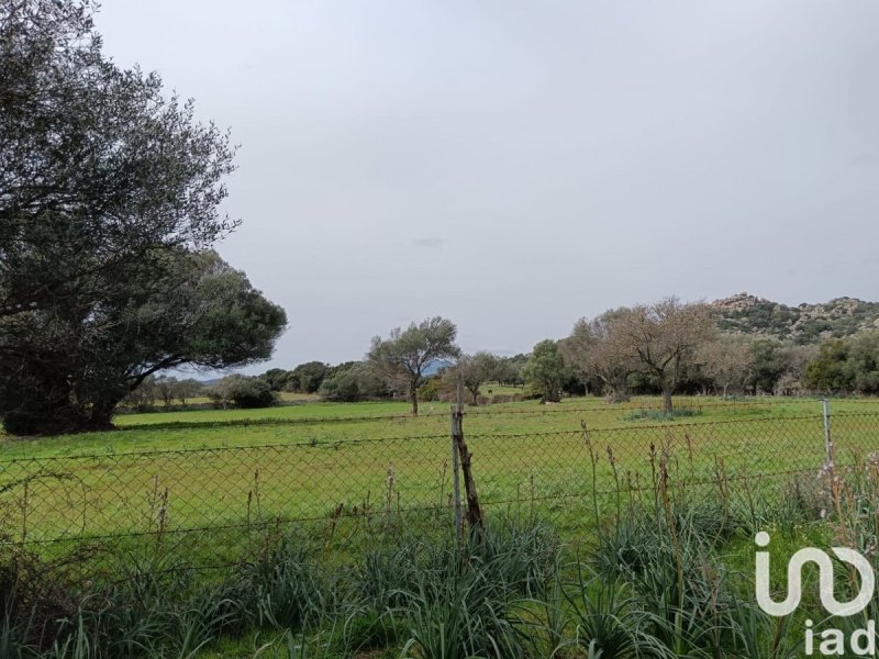 Terrain agricole à Telti