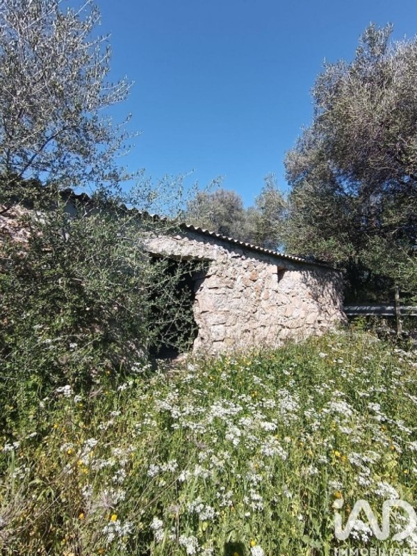 Terreno edificabile a Telti