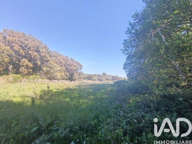 Terreno agrícola em Telti