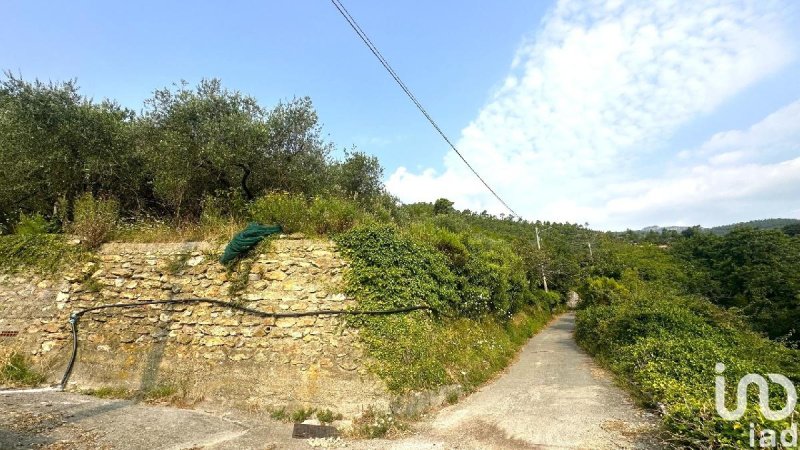 Terreno agricolo a Loano