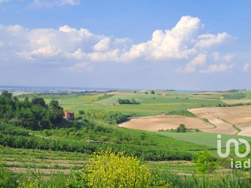 Terreno agrícola en Lu e Cuccaro Monferrato