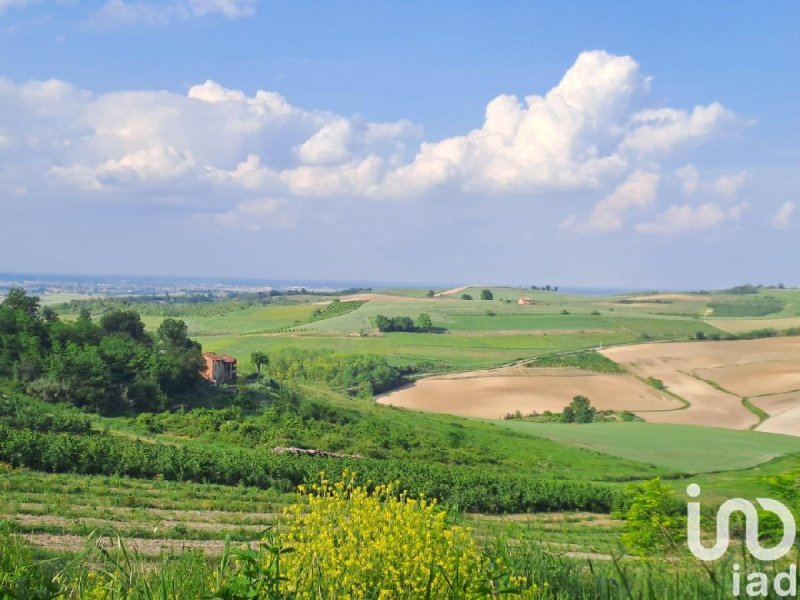 House in Lu e Cuccaro Monferrato