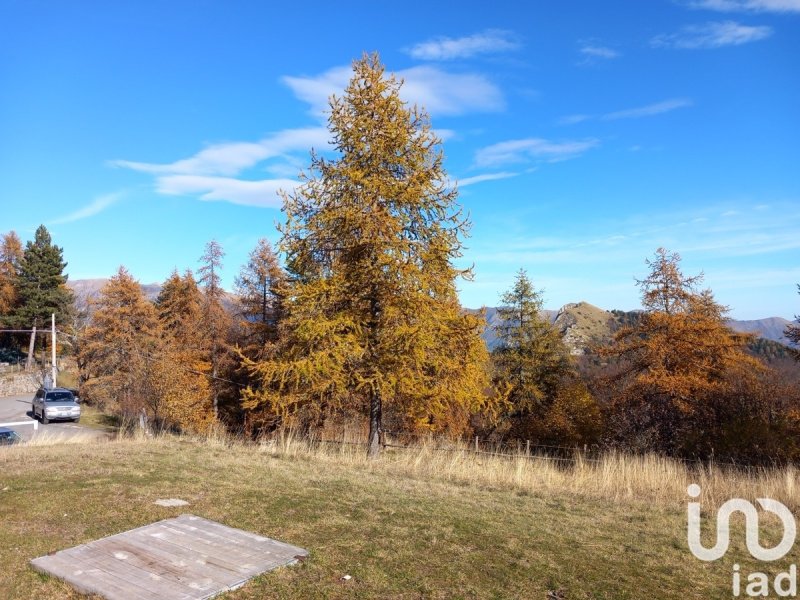 Вилла в Пинья