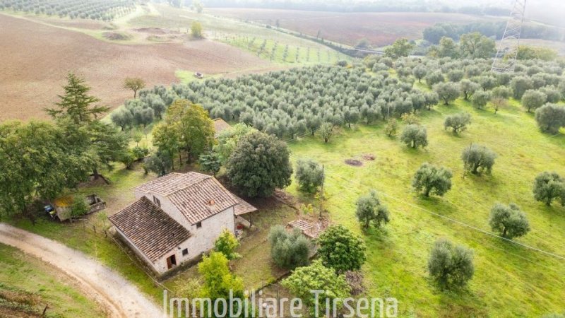 奥尔维耶托农舍