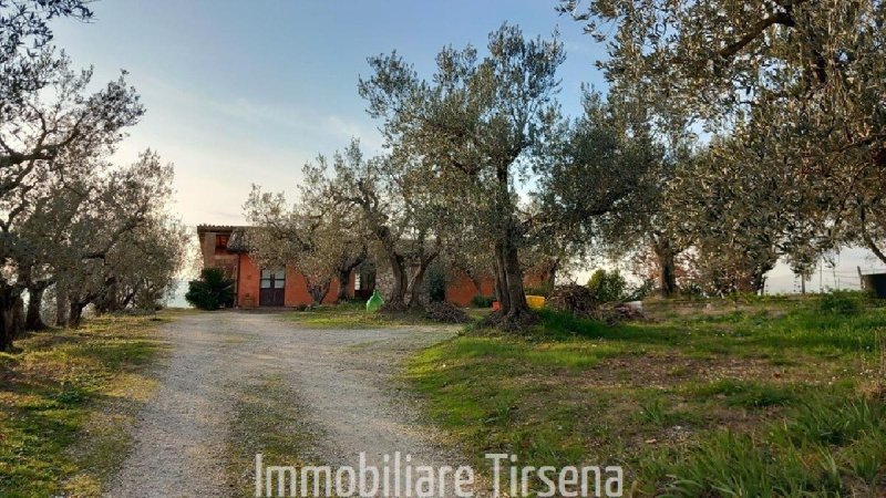 Lantställe i Orvieto