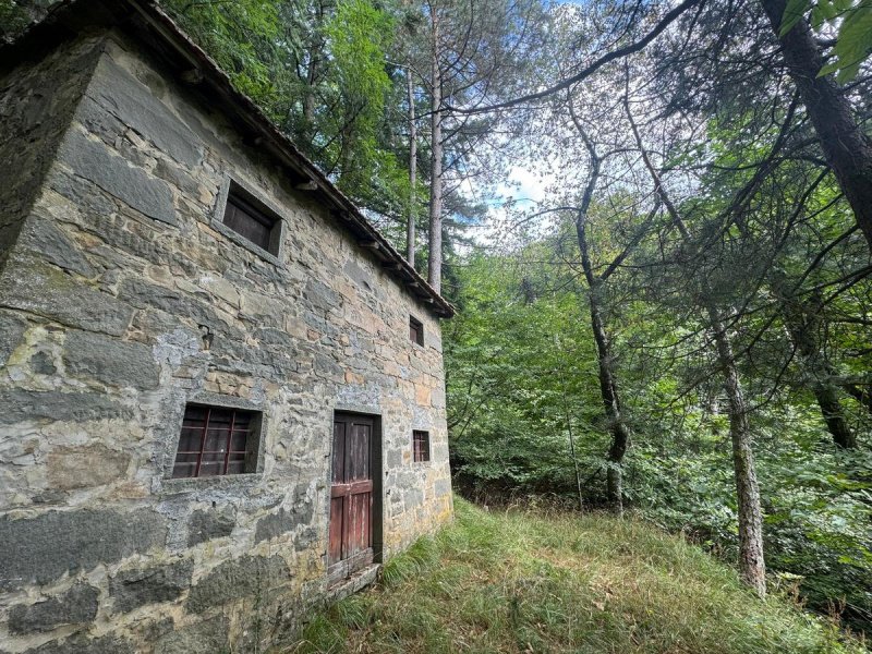 Klein huisje op het platteland in Coreglia Antelminelli