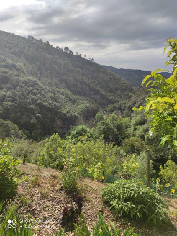 Huis in Dolceacqua