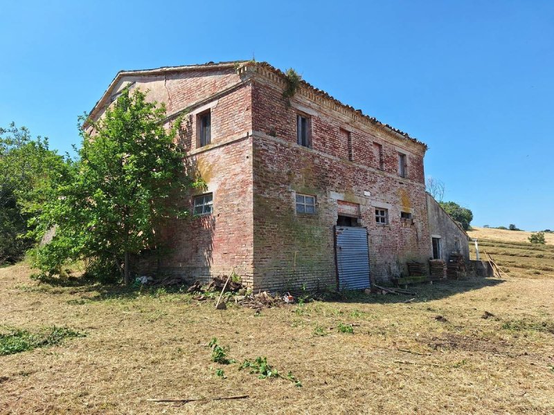 Lantställe i San Severino Marche