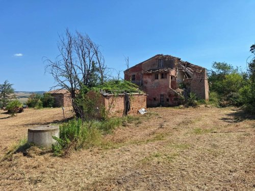 Lantställe i San Severino Marche