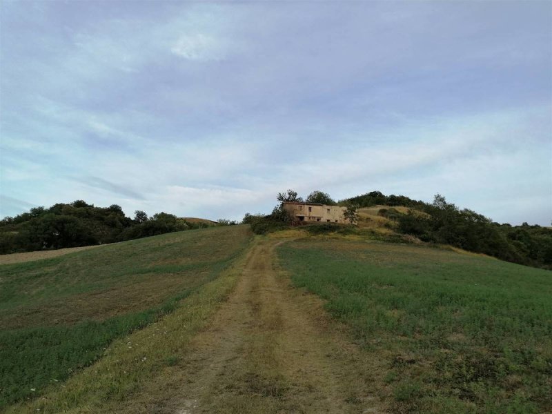 Lantställe i San Severino Marche