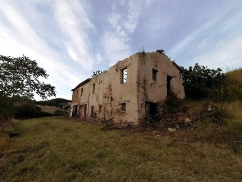 Lantställe i San Severino Marche