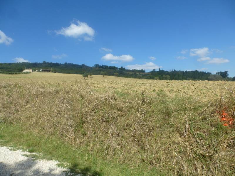 Terreno agrícola en San Severino Marche